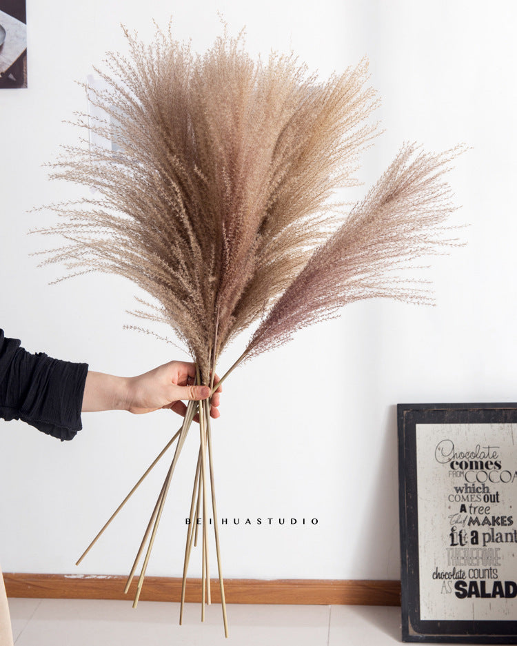 Dried Reed Flower