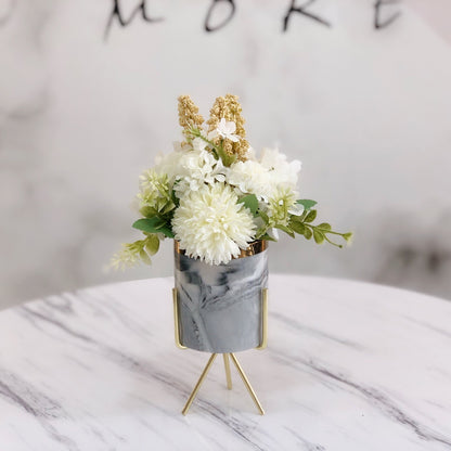 Hydrangea, Bonsai, Dried Flowers