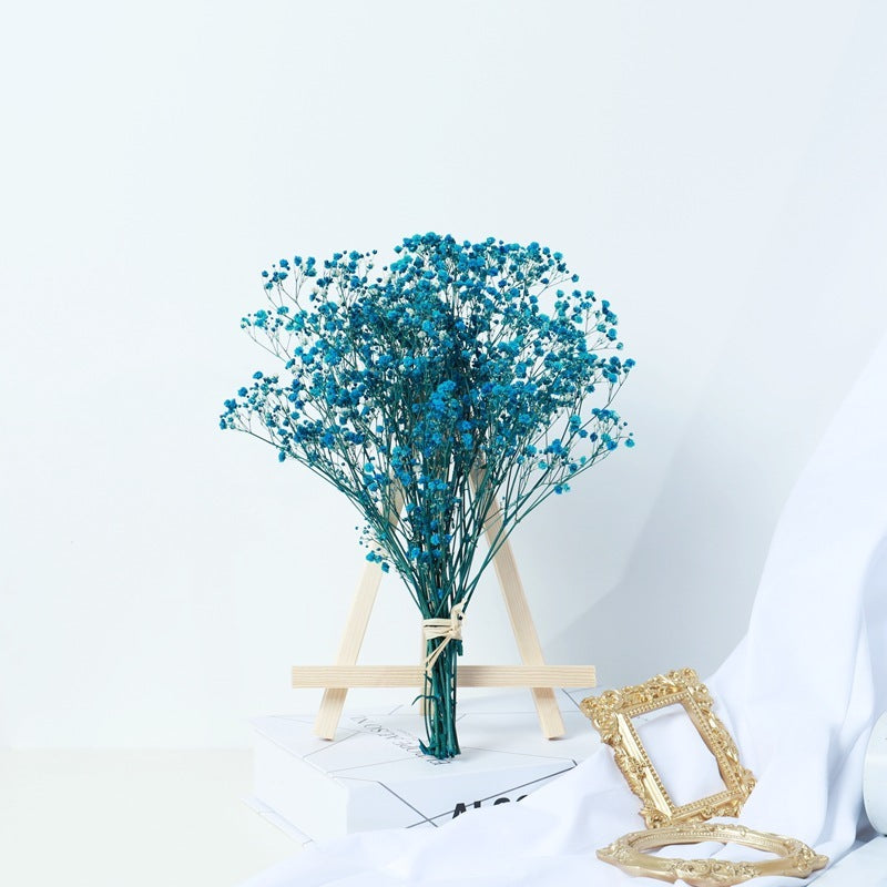 Gypsophila Dried Flower Bouquet