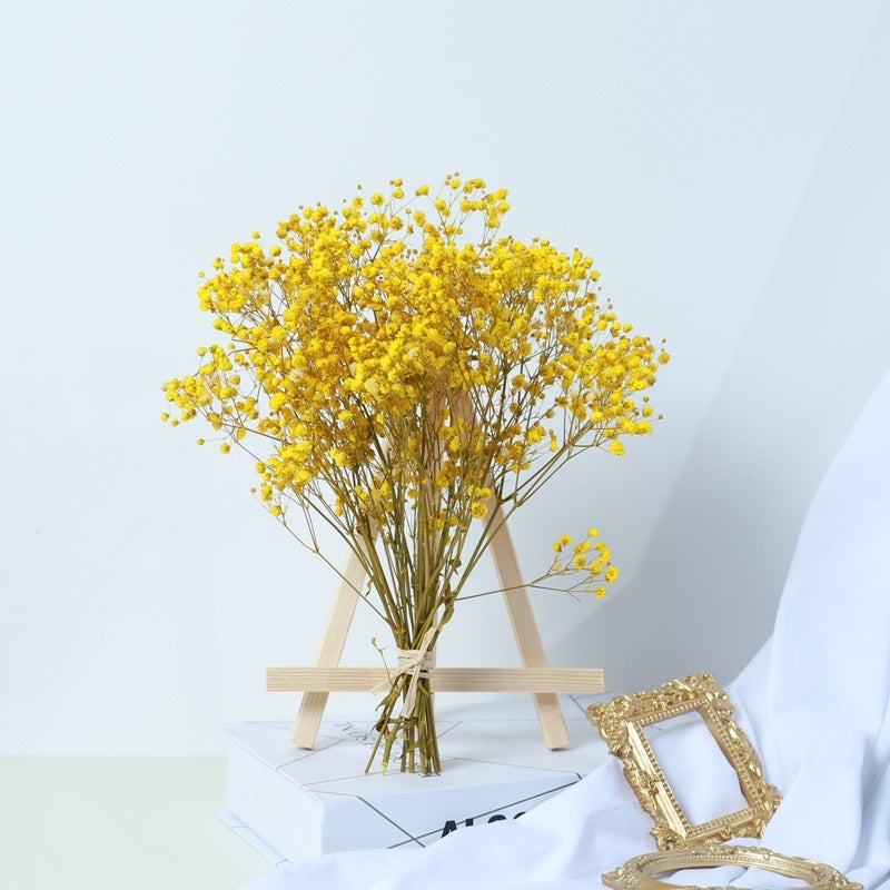 Gypsophila Dried Flower Bouquet