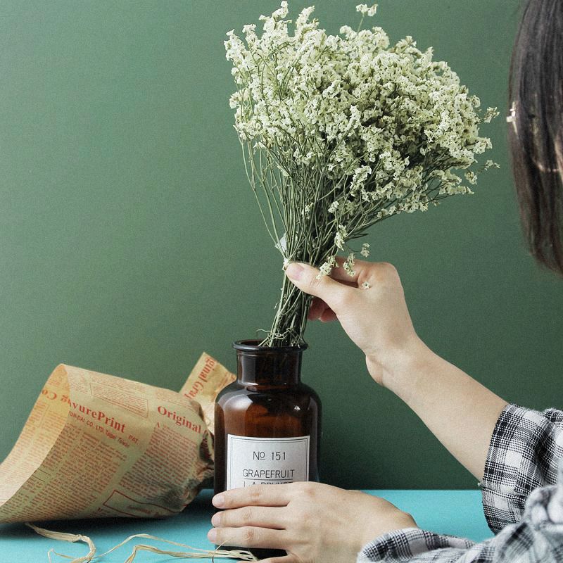 Gypsophila Dried Flower Bouquet