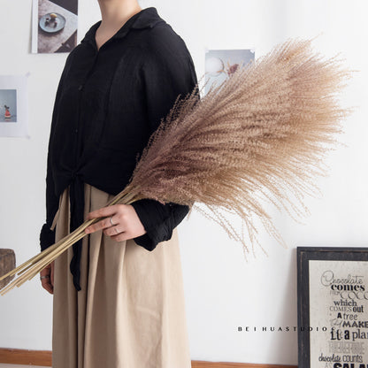 Dried Reed Flower