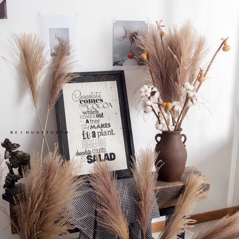 Dried Reed Flower