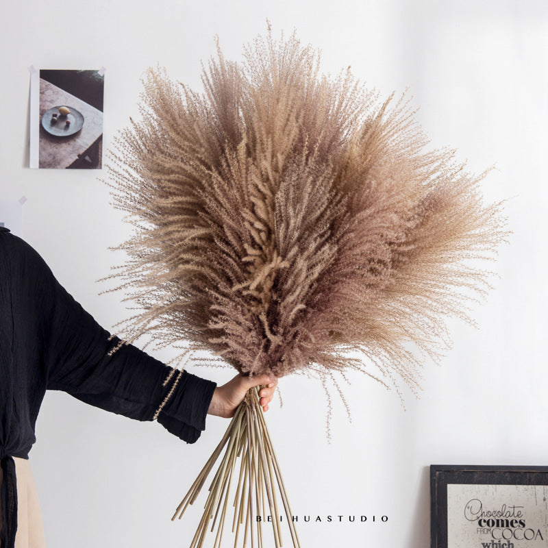 Dried Reed Flower