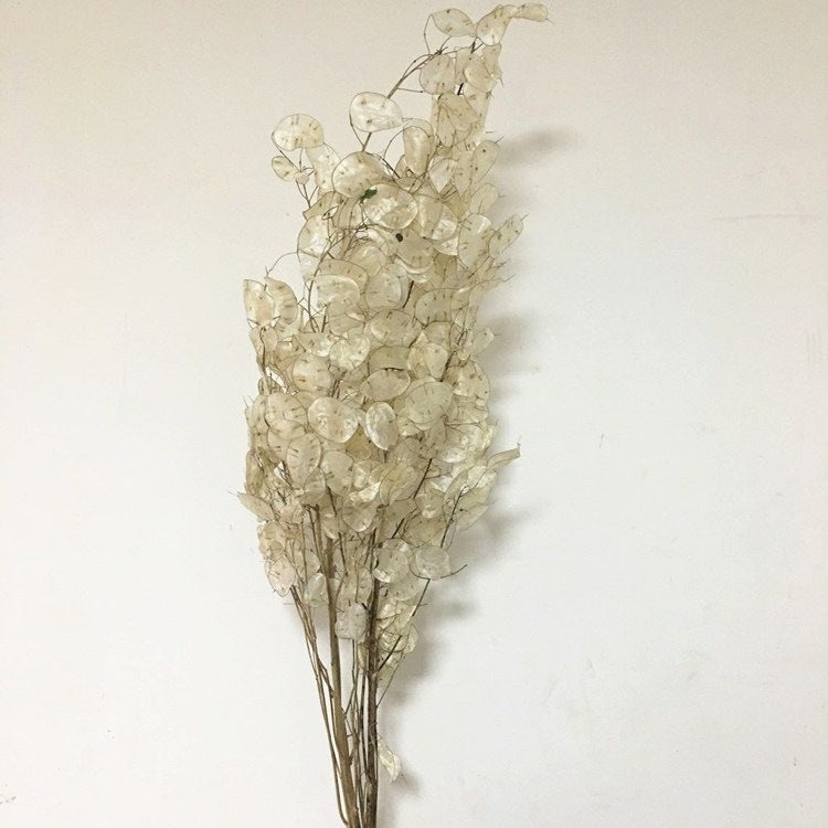 Natural Air-dried Eternal Flowers